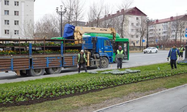 Южно-Сахалинск готовит цветочное оформление к 80-летию Победы Южно-Сахалинск готовит цветочное оформление к 80-летию Победы