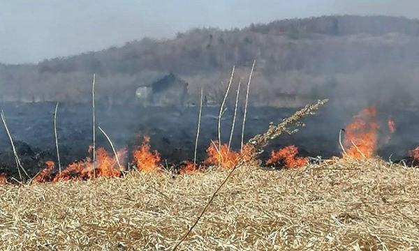 Гектар сухой травы потушили на морском побережье в Поронайском районе