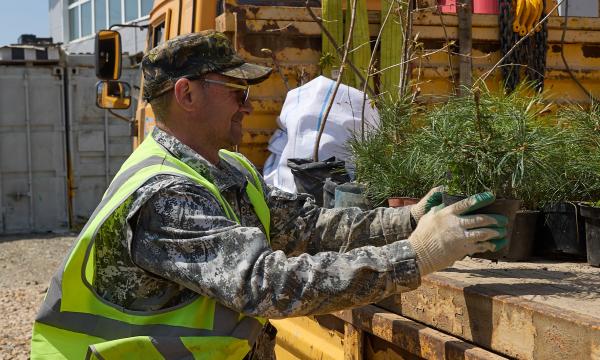Молодые сакуры, каштаны, липы, краснолистные клены и дубы украсят скверы Южно-Сахалинска