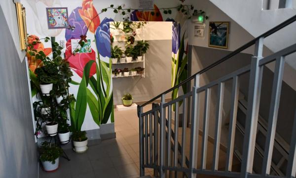 На Сахалине и Курилах выбрали образцовые подъезды