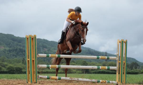 На Сахалине в 19-й раз определили победителей "Золотой подковы"