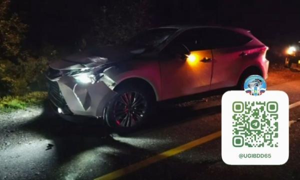На Сахалине мужчина выскочил из автомобиля на ходу и попал под колеса встречной машины