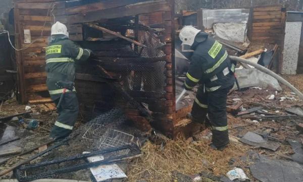 В Долинске ликвидировали пожар хозяйственной постройки В Долинске ликвидировали пожар хозяйственной постройки