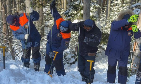 Спасатели МЧС России провели занятие по лавинной подготовке
