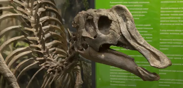 История геологического развития Сахалина и Курильских островов