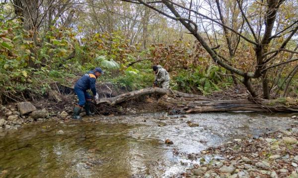 Спасатели Южно-Сахалинска продолжают очищать реки от завалов Спасатели Южно-Сахалинска продолжают очищать реки от завалов
