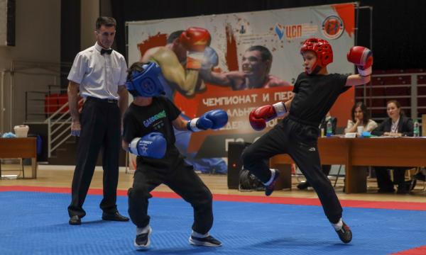 Чемпионат по савату собрал бойцов из Амурской и Сахалинской областей Чемпионат по савату собрал бойцов из Амурской и Сахалинской областей