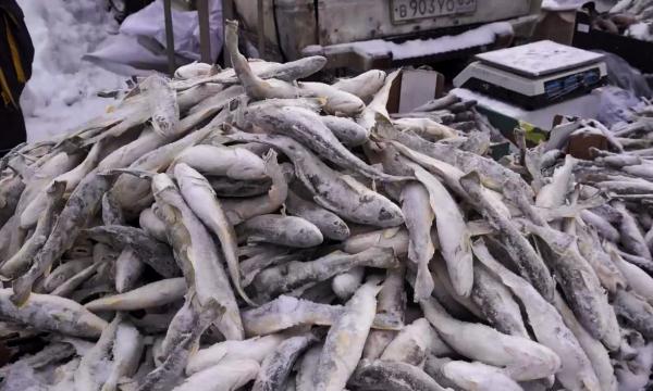 Навага от 80 рублей, минтай и камбала - от 95: где купить свежую рыбу в Южно-Сахалинске 12 февраля