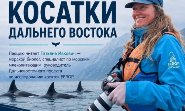 "Мать косаток" расскажет сахалинцам о черно-белых хищниках