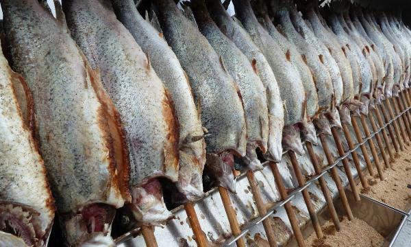 Южносахалинцев приглашают приобрести свежую рыбу