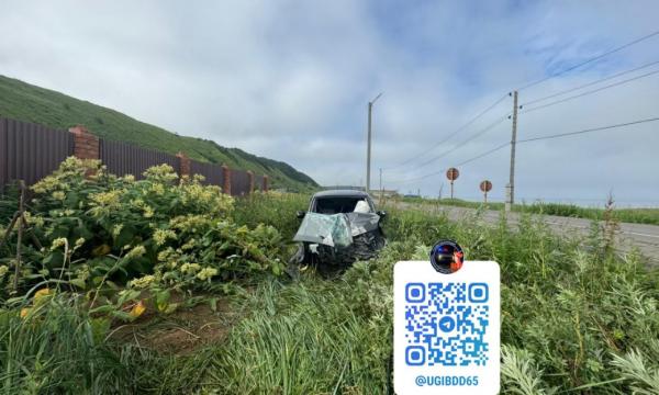 В Углегорске Toyota Ractis съехала в кювет и врезалась в опору ЛЭП