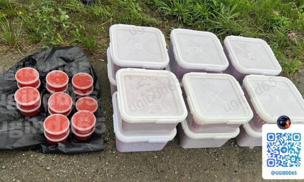 На Сахалине задержали автомобиль с крупной партией незаконно добытой лососевой икры