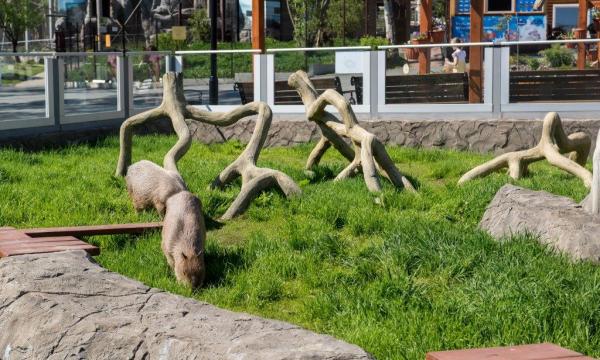 Зоопарк приглашает на мероприятия выходного дня