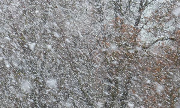 На некоторых сахалинских дорогах ввели ограничения движения транспорта