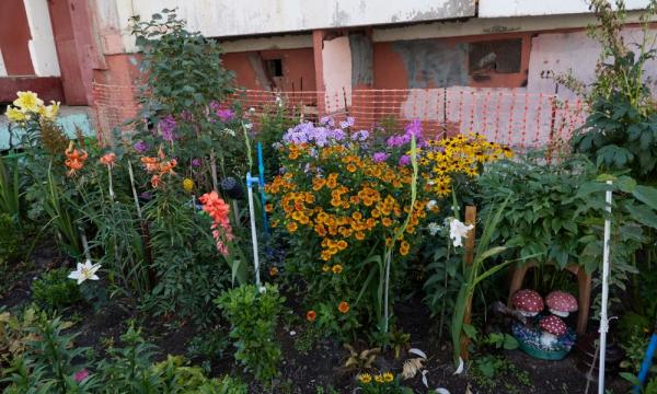 Жители Южно-Сахалинска превращают дворы в цветущие сады