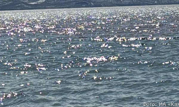 На Камчатке нашли тело туриста их Москвы, выпавшего в апреле с катера