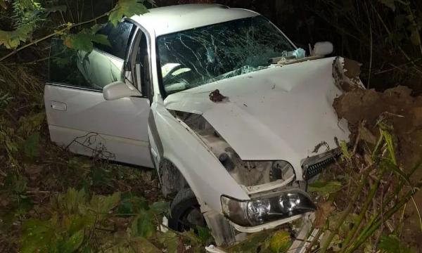 Под Анивой автомобиль вылетел с дороги