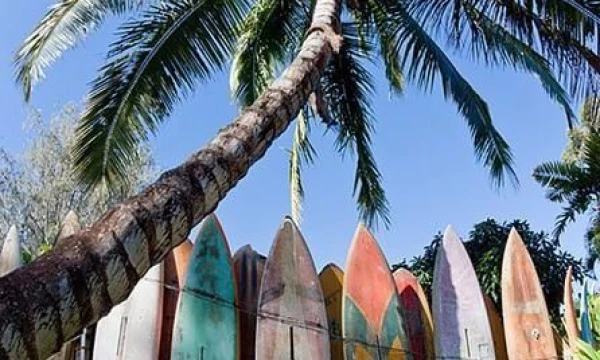 Острова - создание и продвижение сайтов 1 Острова - создание и продвижение сайтов 1