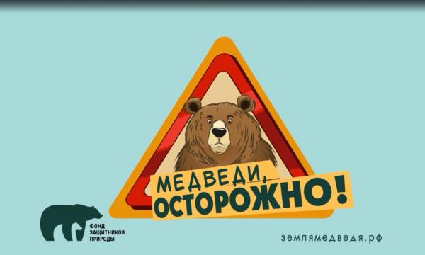 Как вести себя рядом с медведем? Новый мультфильм проекта &laquo;Земля медведя&raquo; расскажет