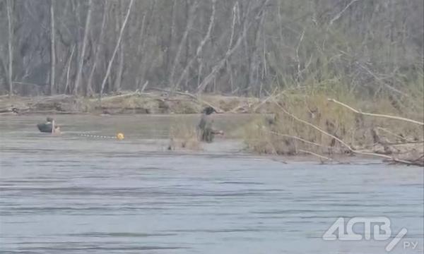 На Лютоге браконьеры гребут симу сетями