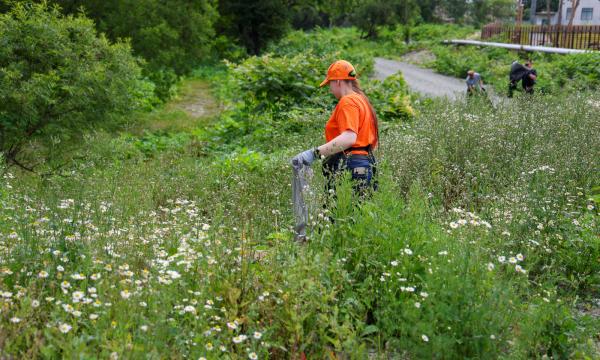 В Ново-Александровске привели в порядок берег реки Красносельской в рамках нацпроекта