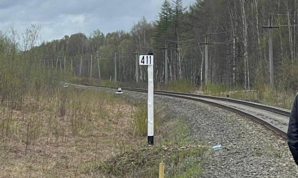 На Сахалине поезд сбил женщину, переходящую жд/пути