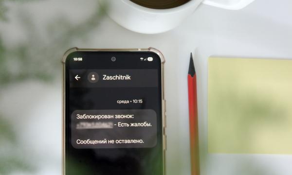 Эксперты назвали лидеров цифровой безопасности для жителей Сахалина