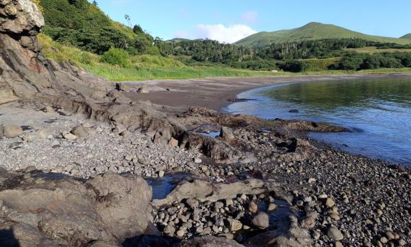 Учёные из Санкт-Петербурга исследовали прибрежную зону островов Кунашир и Шикотан