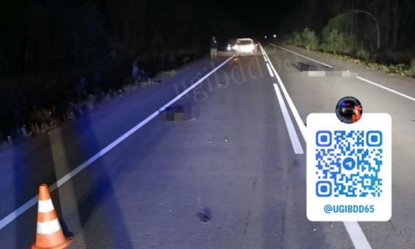 На трассе Южно-Сахалинск - Оха автомобиль сбил пешехода насмерть