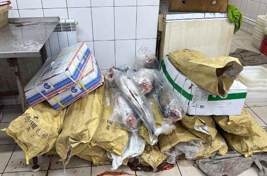 Нелегальный цех по производству красной икры и рыбы обнаружили в Благовещенске
