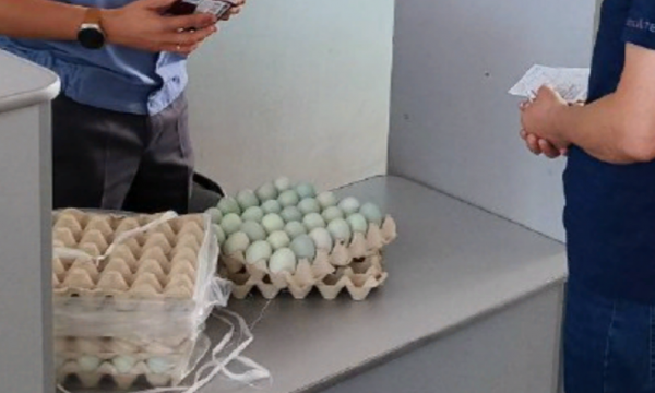 В Амурскую область не пустили куриные яйца мятного цвета