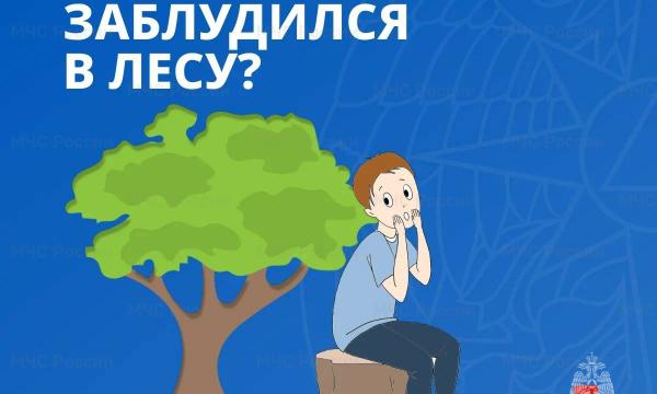 Простые, но жизненно важные правила, если ты заблудился в лесу