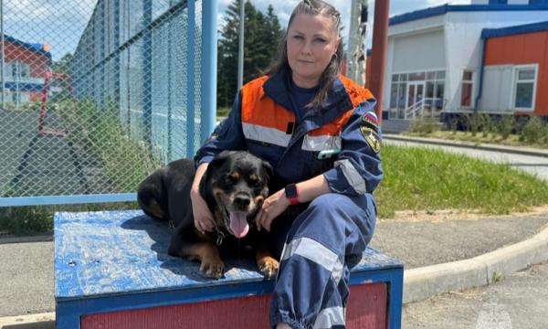 Профессия по душе