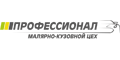 Профессионал Профессионал