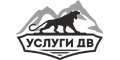 Услуги ДВ